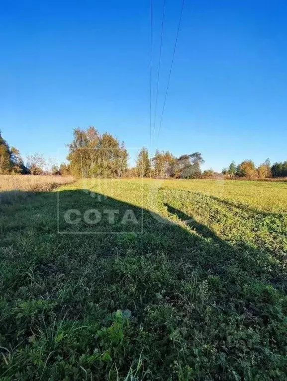 Участок в Воронежская область, Павловский район, Покровское с/пос, ... - Фото 2