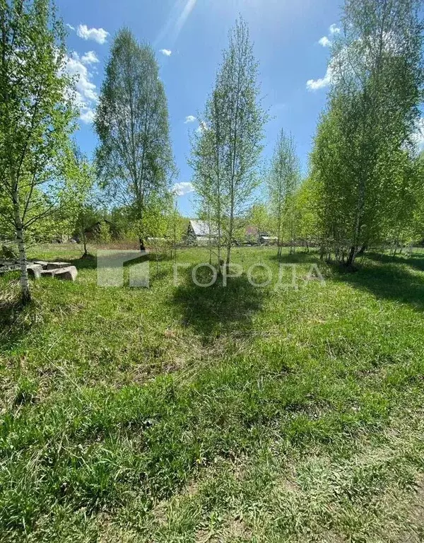 Участок в Новосибирская область, Мошково рп  (12.0 сот.) - Фото 1