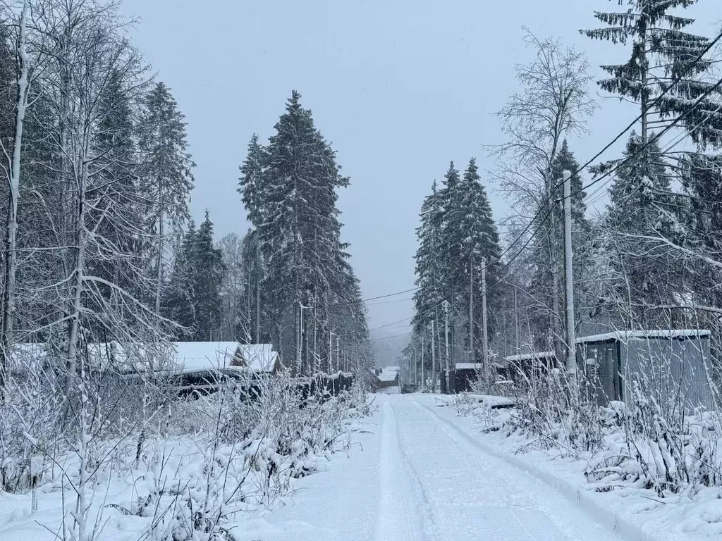 Участок в Московская область, Дмитровский муниципальный округ, ... - Фото 1