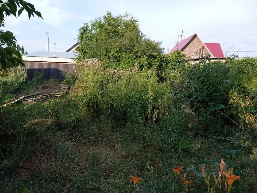 Участок в Оренбургская область, Оренбург Энергостроитель СНТ, ул. ... - Фото 1