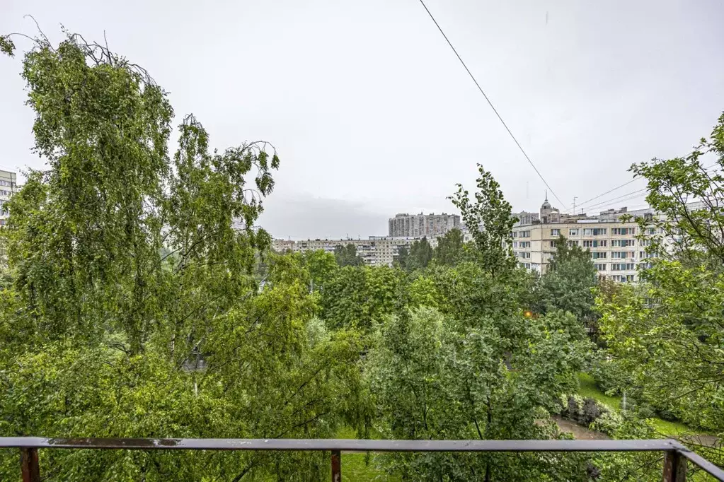 1-к кв. Санкт-Петербург Богатырский просп., 7К3 (29.6 м) - Фото 2