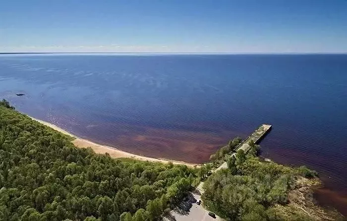 Участок в Вологодская область, Вашкинский муниципальный округ, с. ... - Фото 0