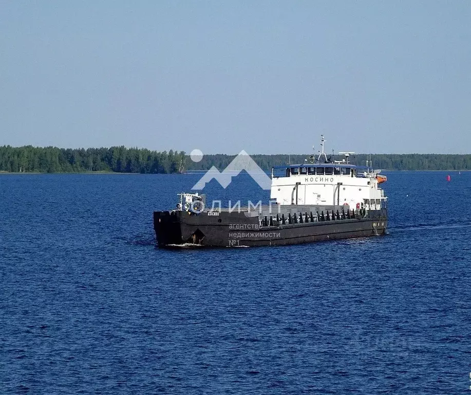 Участок в Вологодская область, Кирилловский муниципальный округ ул. ... - Фото 2