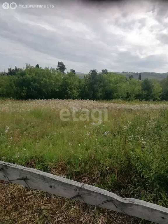 Участок в село Алтайское, улица А.А. Яркина (15 м) - Фото 1