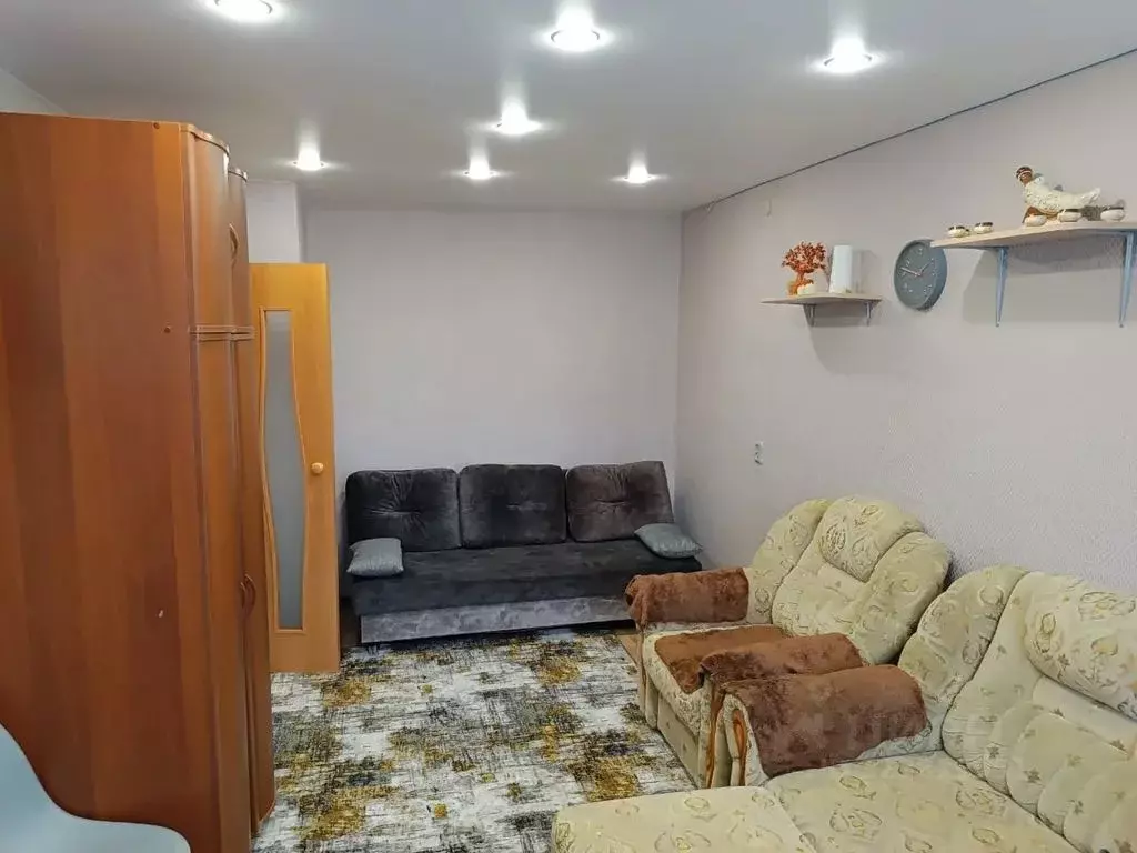 1-к кв. Амурская область, Благовещенск Зейская ул., 135 (30.0 м) - Фото 2