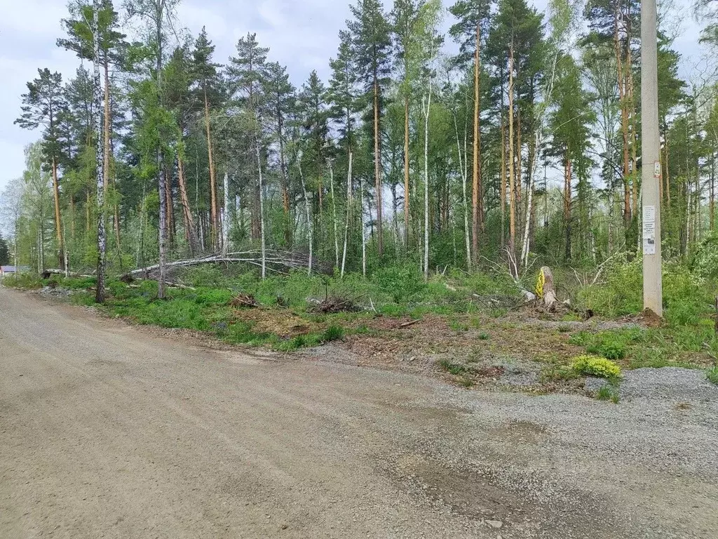 Участок в Свердловская область, Полевской городской округ, с. ... - Фото 2