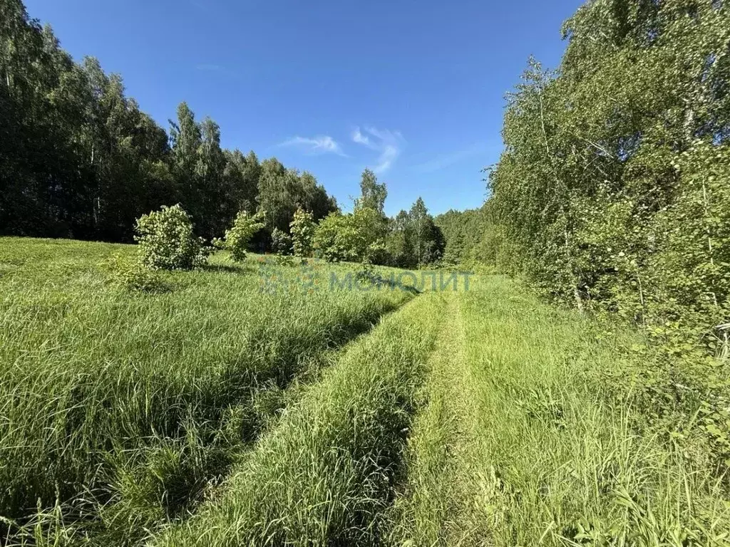 Участок в Нижегородская область, Лысковский район, с. Егорьевское  ... - Фото 1