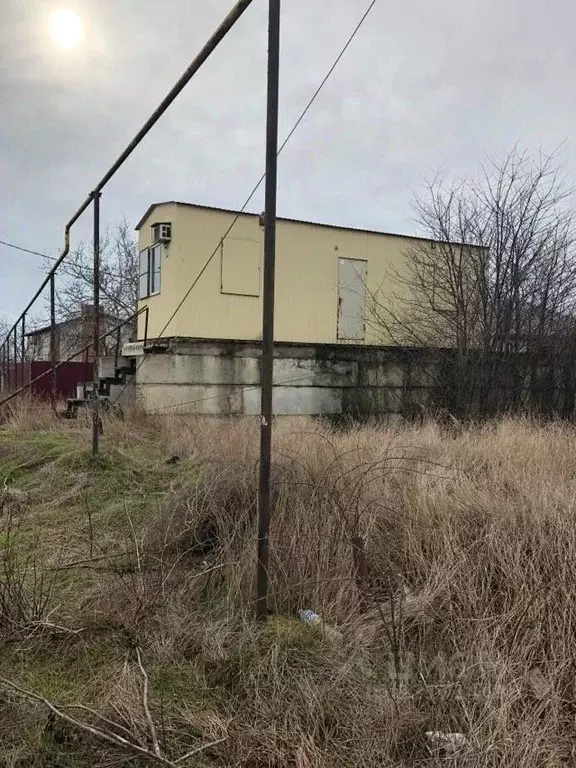 Участок в Краснодарский край, Темрюкский район, Тамань ст-ца ... - Фото 2