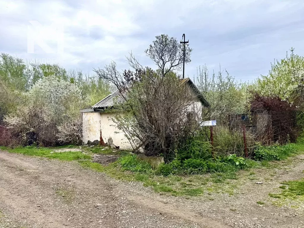 Участок 6 сот. (СНТ, ДНП) - Фото 0