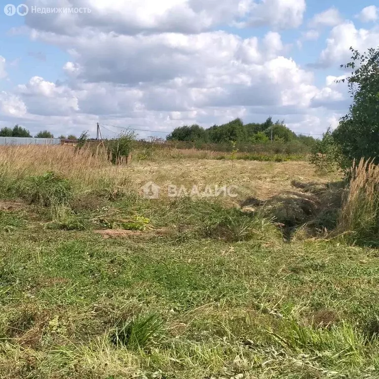 Участок в Владимирская область, Собинский муниципальный округ, село ... - Фото 1