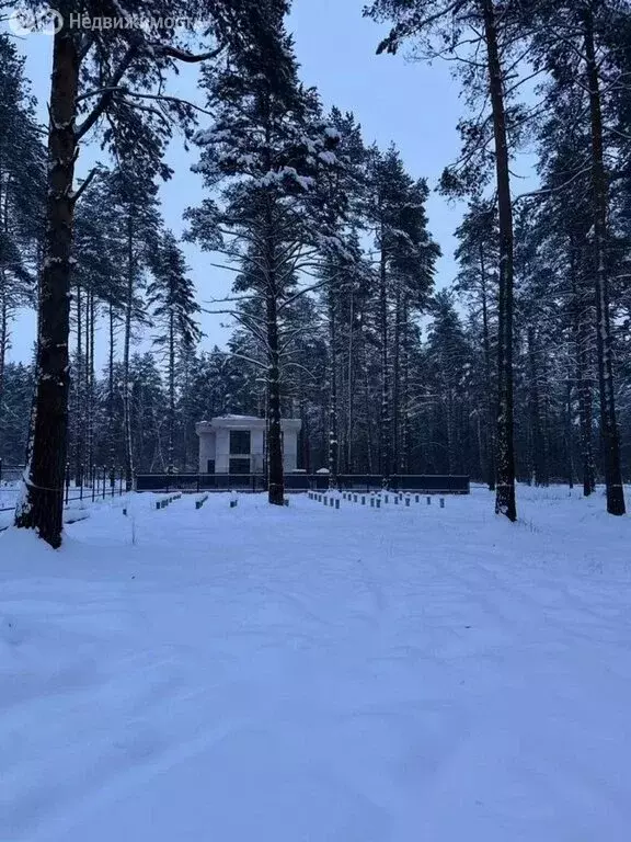 Участок в Богородский городской округ (9.01 м) - Фото 2