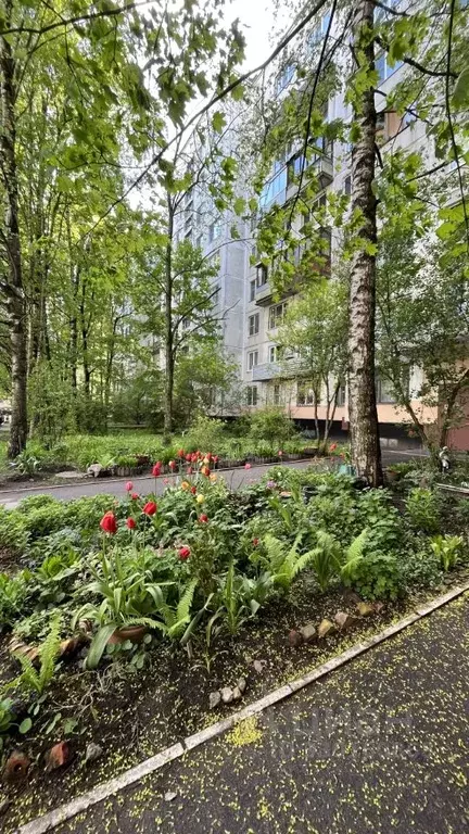1-к кв. Санкт-Петербург Гражданский просп., 114К5 (30.7 м) - Фото 1
