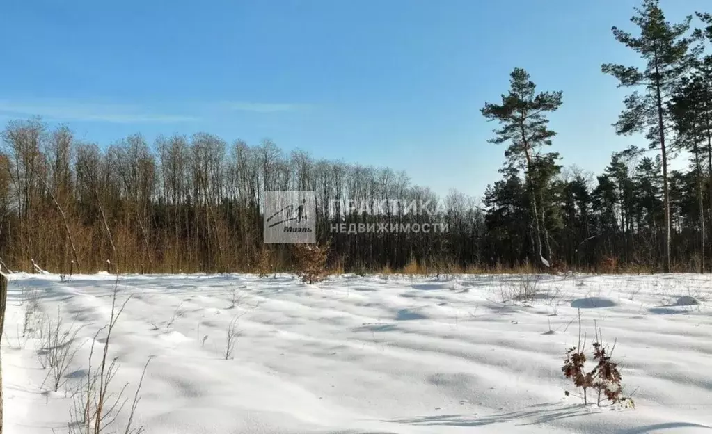 Участок в Московская область, Истра муниципальный округ, д. Сысоево  ... - Фото 1