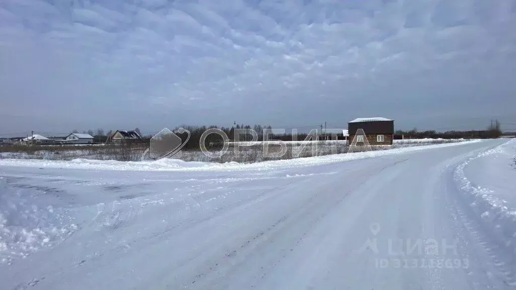 Участок в Тюменская область, Тюменский район, с. Борки Северная ул. ... - Фото 1