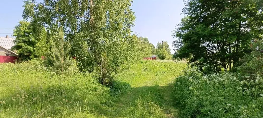 Участок в Псковская область, Псковский муниципальный округ, ... - Фото 1