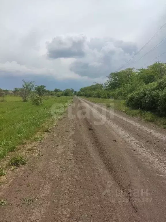 Участок в Ростовская область, Азов Азовский район, Х-Виллаж кп, ул. ... - Фото 1