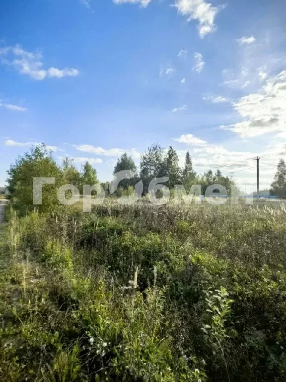 Продается участок в х. Шубино - Фото 2