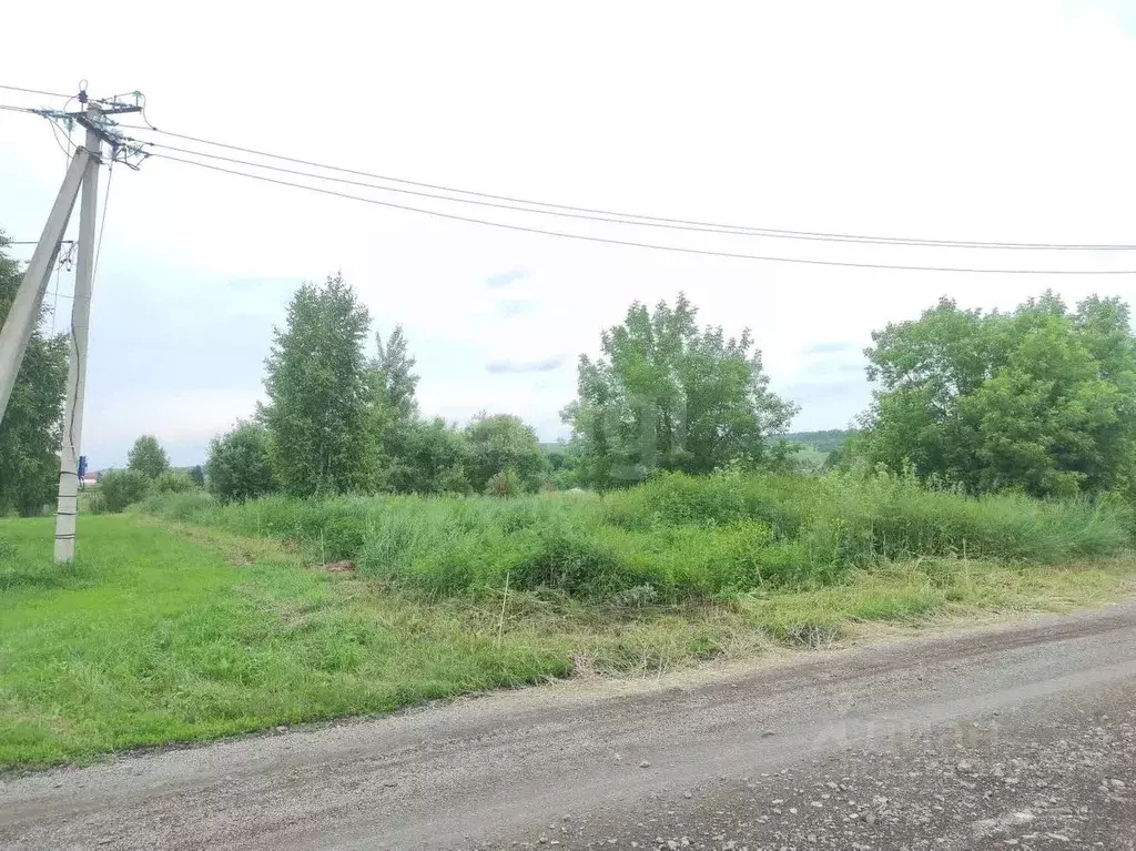 Участок в Кемеровская область, Новокузнецкий муниципальный округ, с. ... - Фото 1