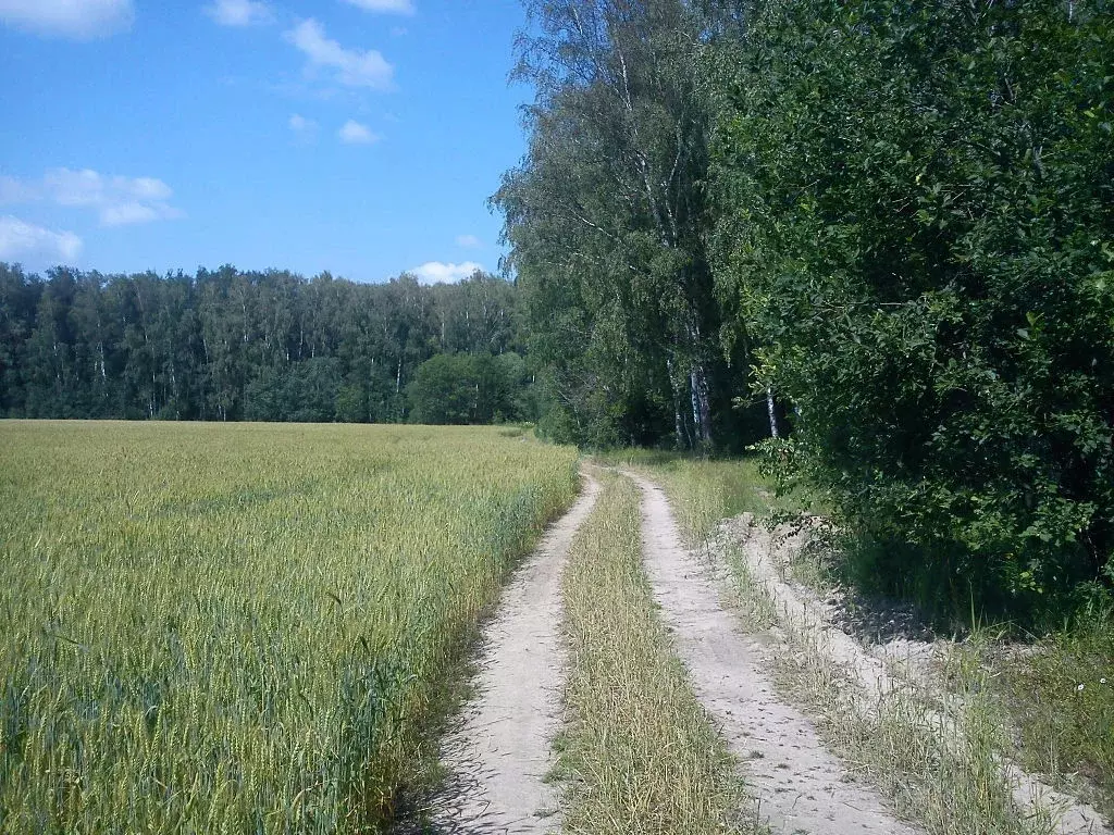 Продается участок в с. Домодедово - Фото 1