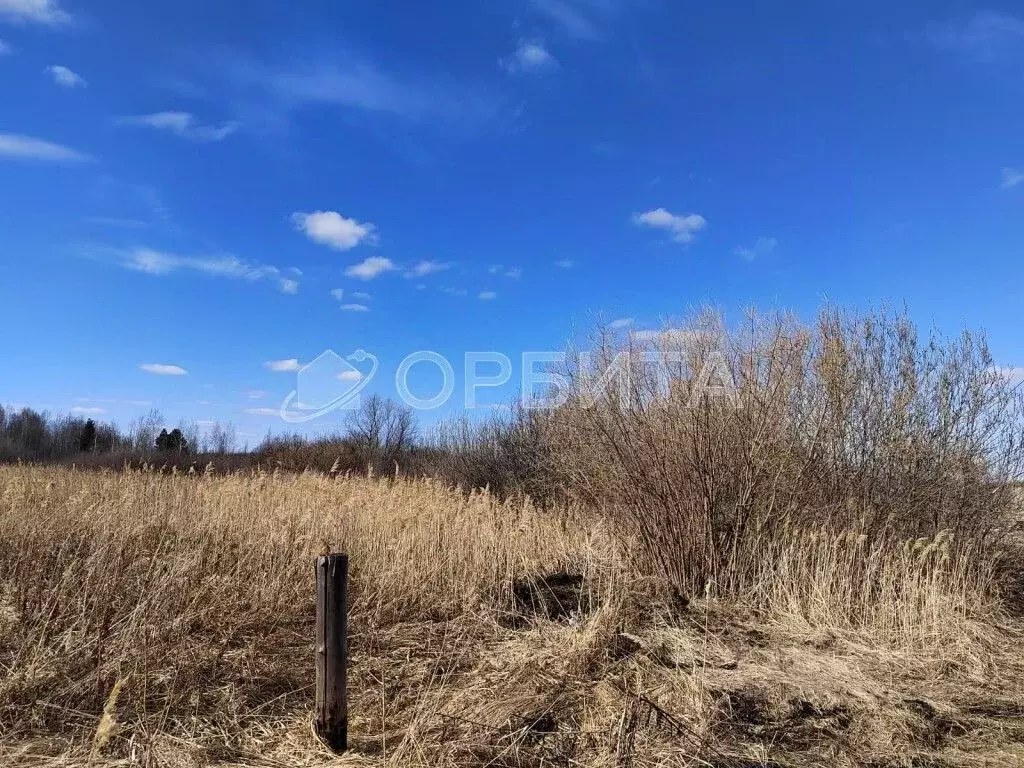 Участок в Тюменская область, Тюмень Садовое товарищество Липовый ... - Фото 0