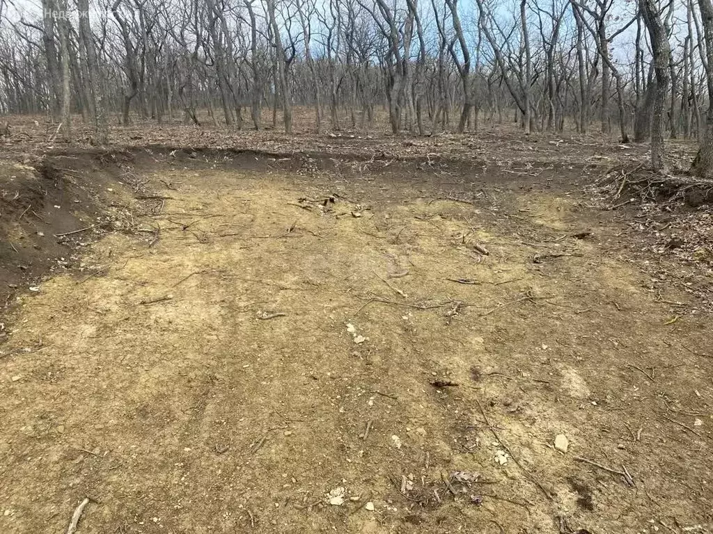 Участок в Краснодарский край, Анапа (56 м) - Фото 0