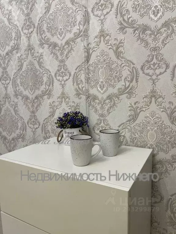 Студия Нижегородская область, Нижний Новгород д. Афонино, ул. Красная ... - Фото 1