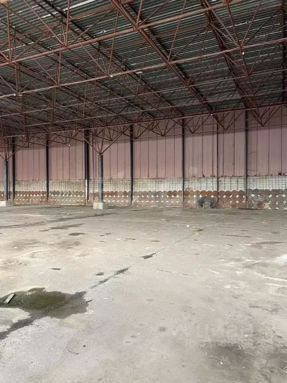 Помещение свободного назначения в Северная Осетия, Владикавказ ул. ... - Фото 1