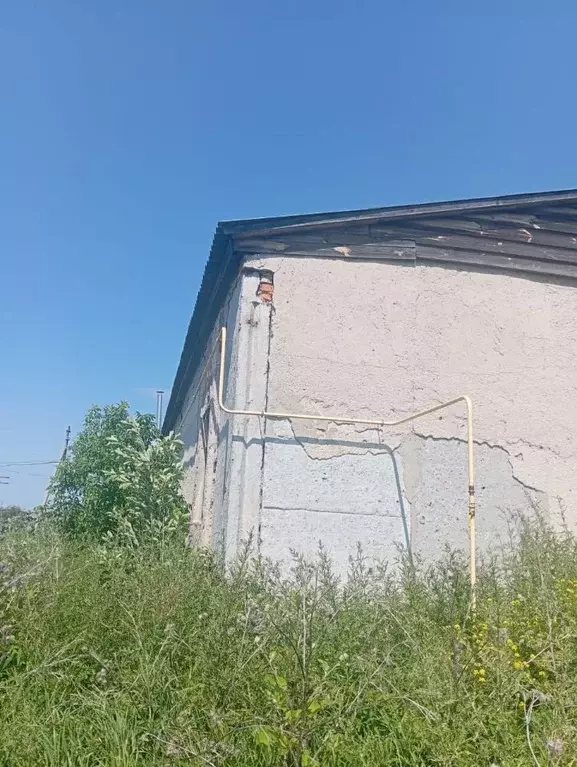 Помещение свободного назначения в Курганская область, Кетовский ... - Фото 1