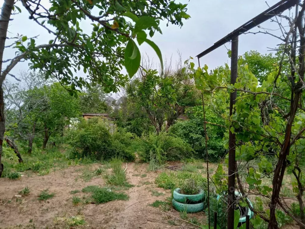 Дом в Волгоградская область, Волгоград Гидростроитель СНТ, ул. 5-я ... - Фото 1