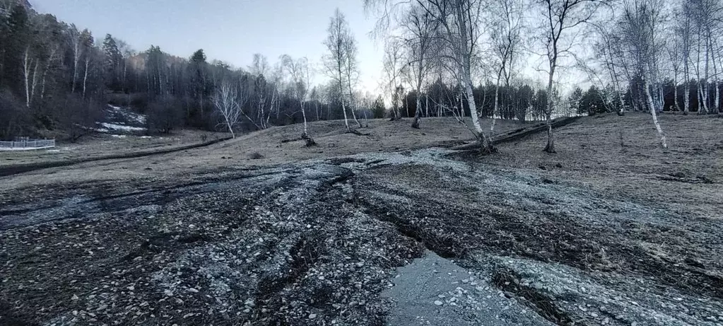 Участок в Алтай, Чемальский район, с. Анос  (2.7 сот.) - Фото 2