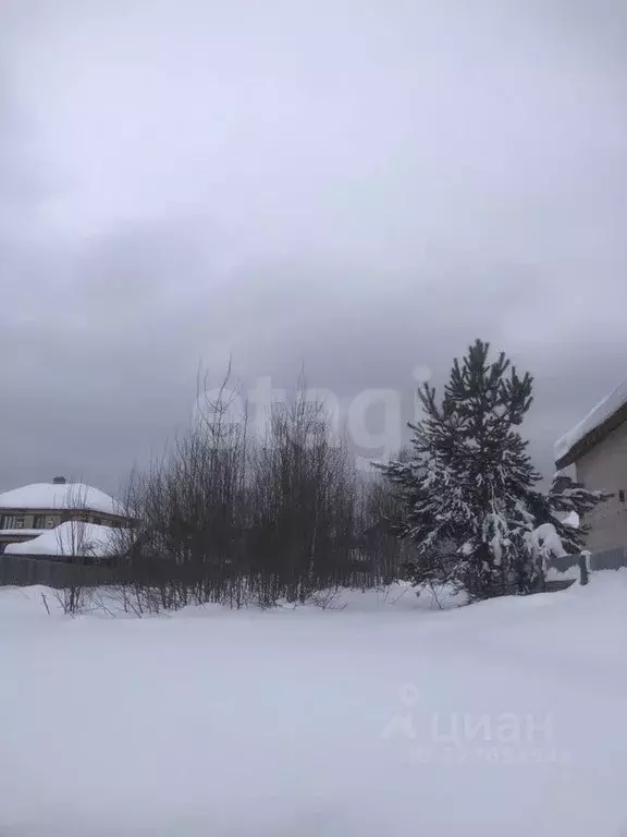 Участок в Пермский край, Пермь Надежда-1 СНТ, 52 (6.0 сот.) - Фото 2