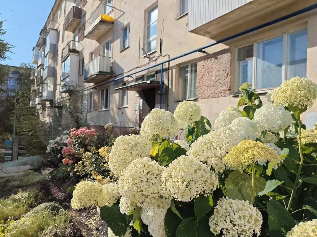 1-к. квартира, 31 м, 3/5 эт. - Фото 0