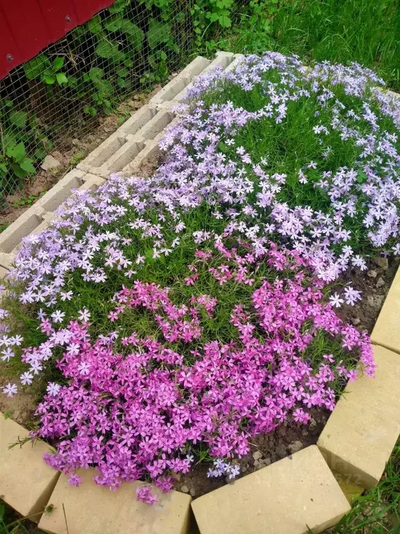 Участок в Марий Эл, Медведевский район, Руэмское с/пос, д. Нолька ул. ... - Фото 1