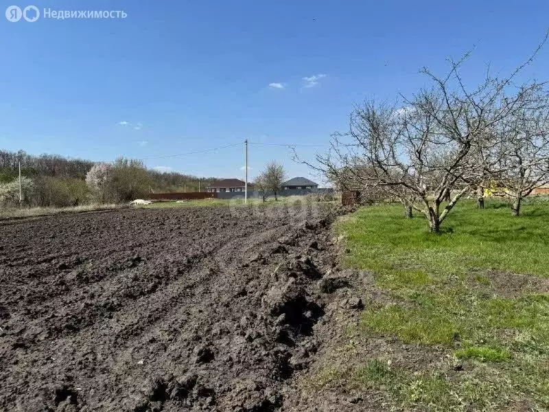 Участок в рабочий посёлок Разумное, Романтичная улица (10 м) - Фото 1