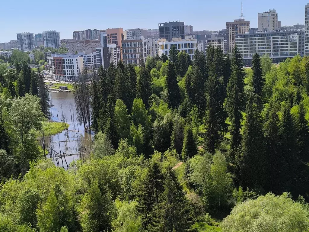 Студия Удмуртия, Ижевск ул. Холмогорова, 113 (29.0 м) - Фото 2