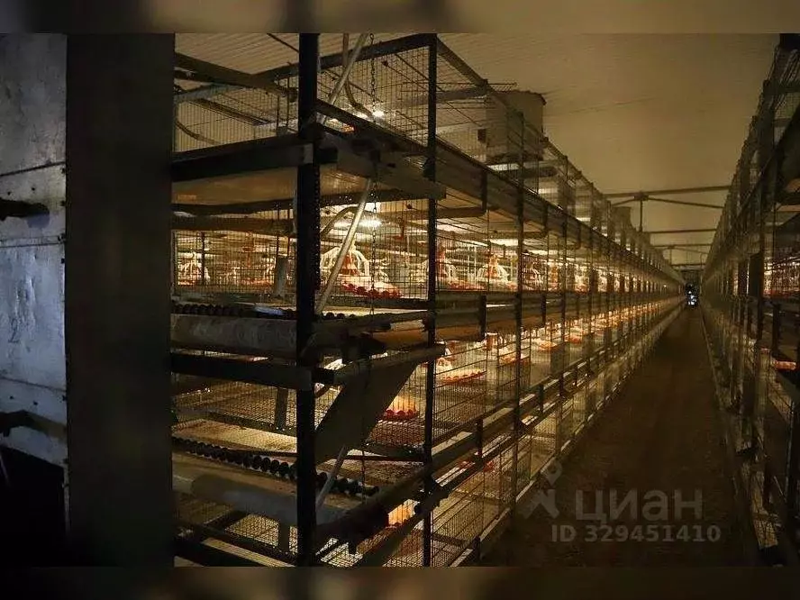 Помещение свободного назначения в Татарстан, Муслюмовский район, ... - Фото 1