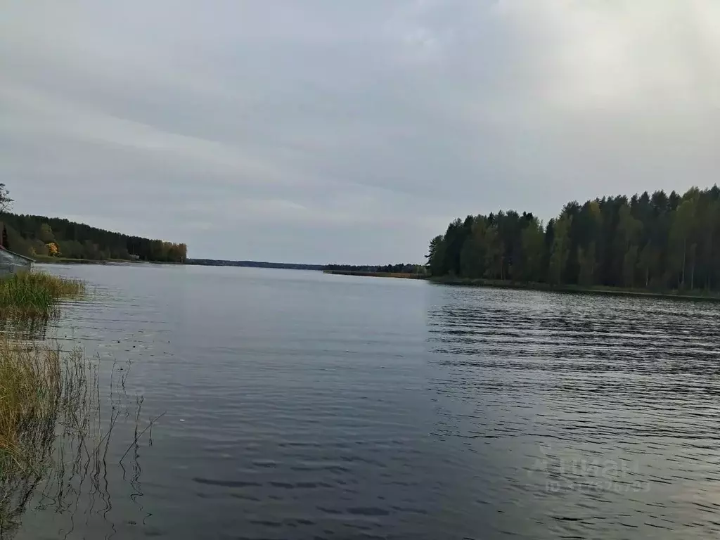 Участок в Новгородская область, Валдайский район, Рощинское с/пос, д. ... - Фото 1