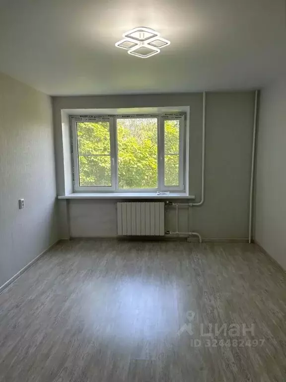 Комната Санкт-Петербург Заневский просп., 34к1 (18.3 м) - Фото 1