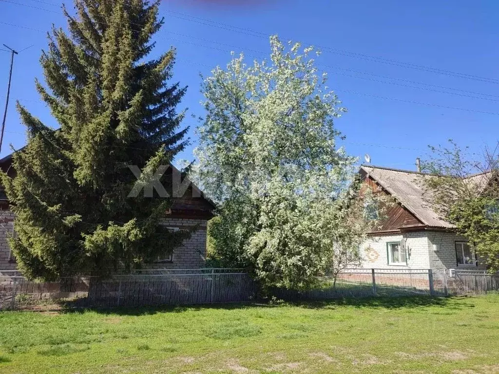 Участок в Алтайский край, Каменский район, пос. Раздольный Степная ул. ... - Фото 1