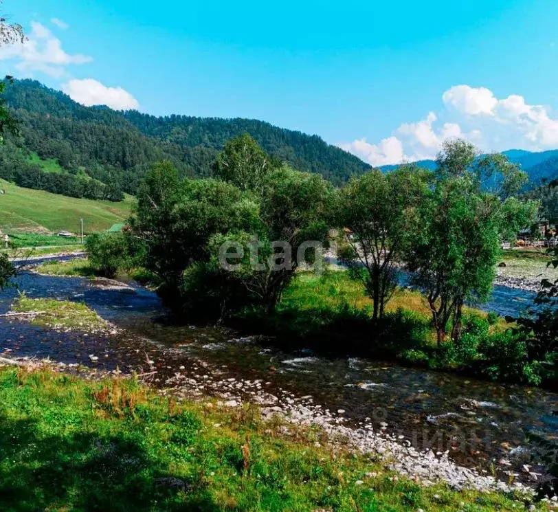Участок в Алтай, Чемальский район, с. Уожан Центральная ул., 5 (15.0 ... - Фото 2