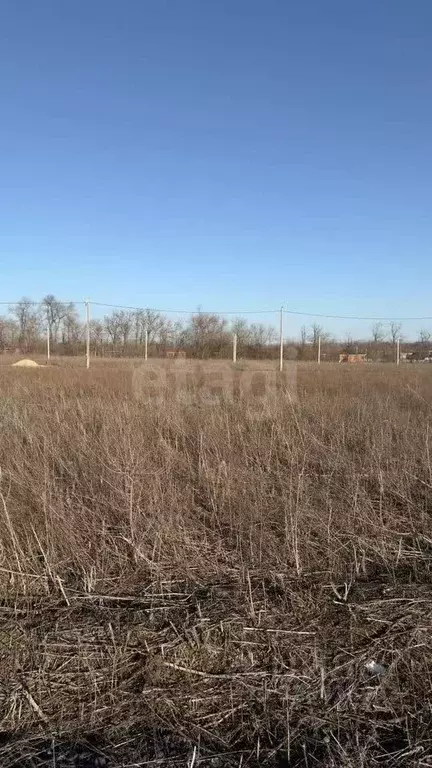 Участок в Ростовская область, Аксайский район, Щепкинское с/пос, пос. ... - Фото 2