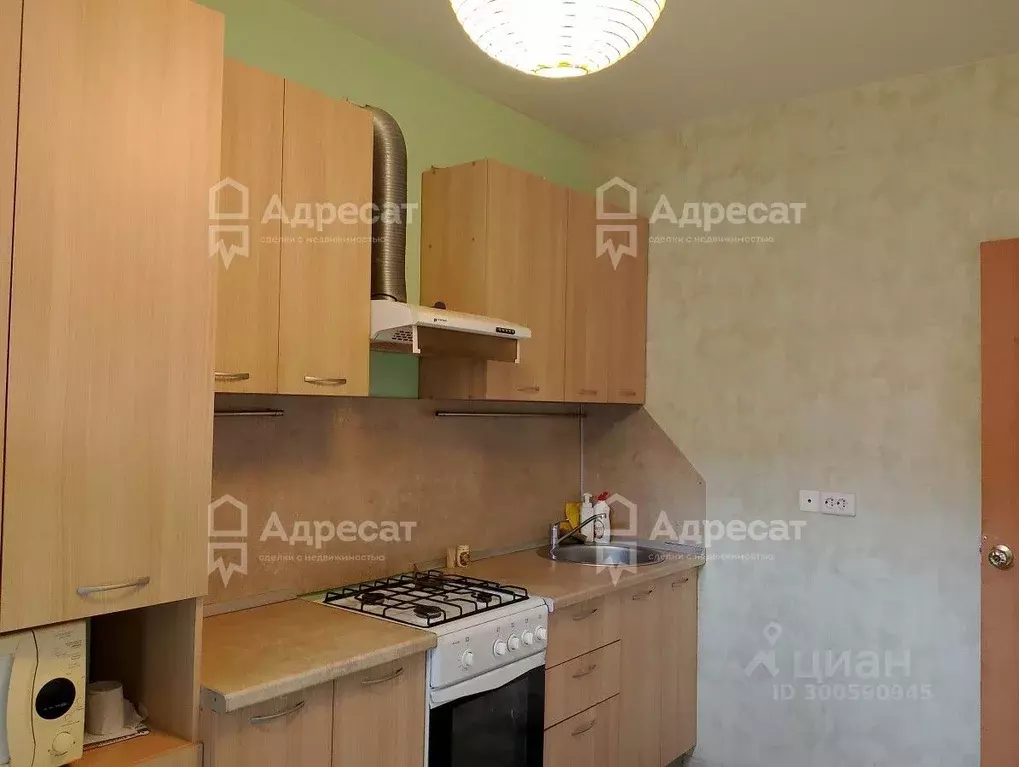 1-к кв. Волгоградская область, Волгоград ул. Грибанова, 16 (32.5 м) - Фото 2