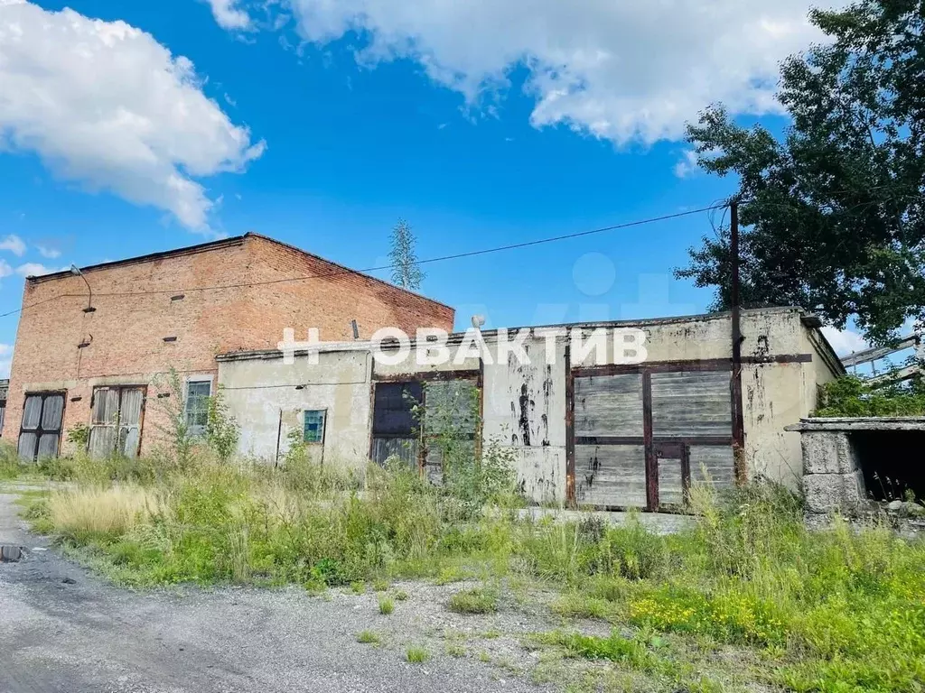 Сдам помещение свободного назначения, 195.8 м - Фото 0