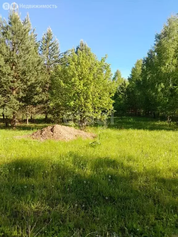 Участок в Иглинский район, село Охлебинино (13 м) - Фото 2