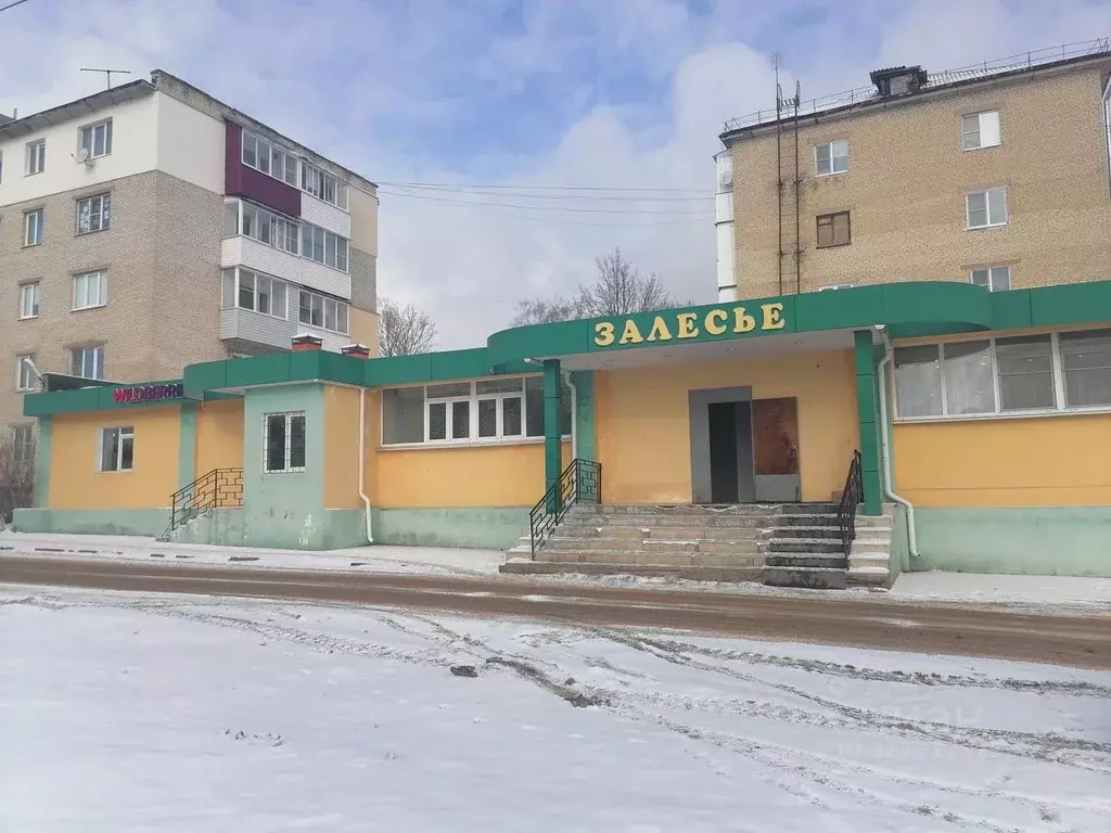 Торговая площадь в Тульская область, Новомосковск Профсоюзная ул., 7Б ... - Фото 1