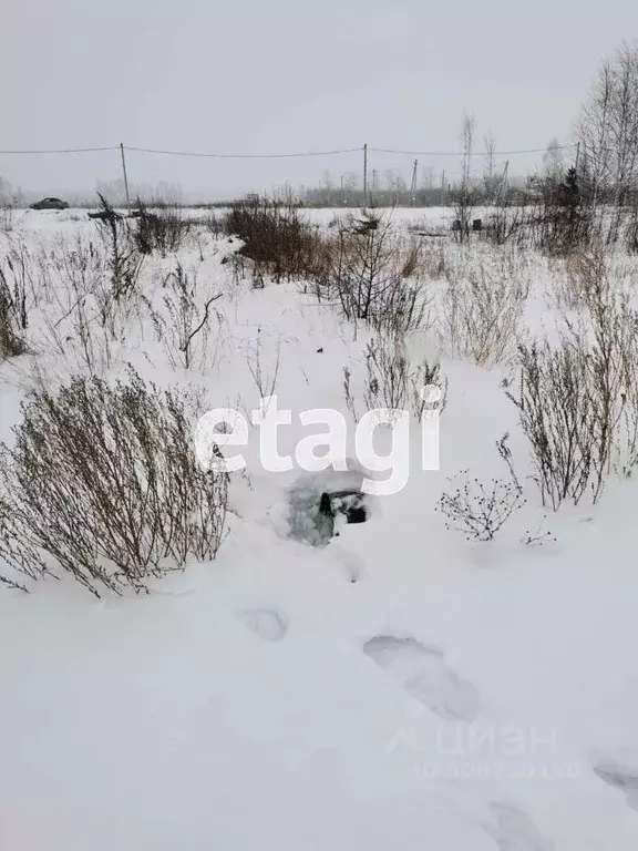 Участок в Тюменская область, Ишимский район, д. Орловка Центральная ... - Фото 0