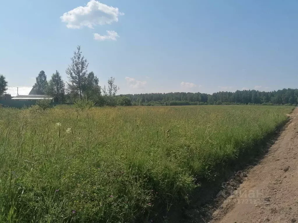 Участок в Московская область, Дмитровский муниципальный округ, Раменье ... - Фото 1
