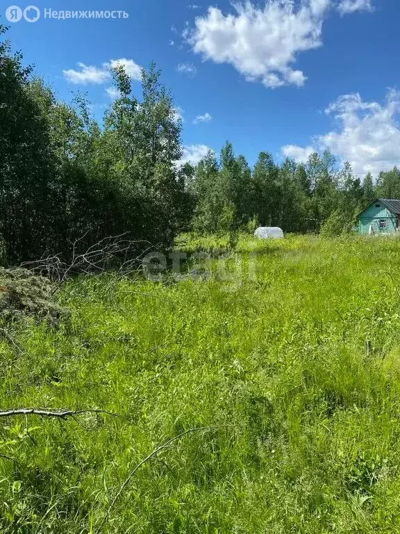 Участок в Республика Коми, муниципальный округ Ухта, посёлок ... - Фото 1