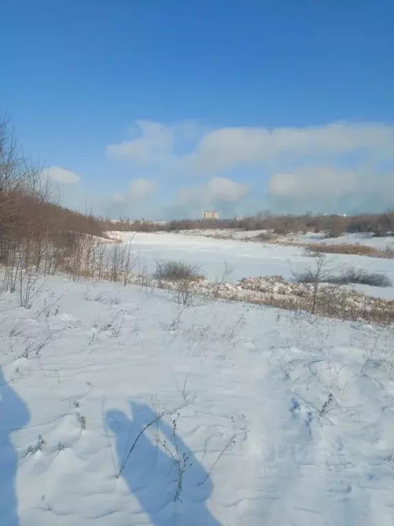 Участок в Курская область, Курчатов пер. Ягодный (49.0 сот.) - Фото 2