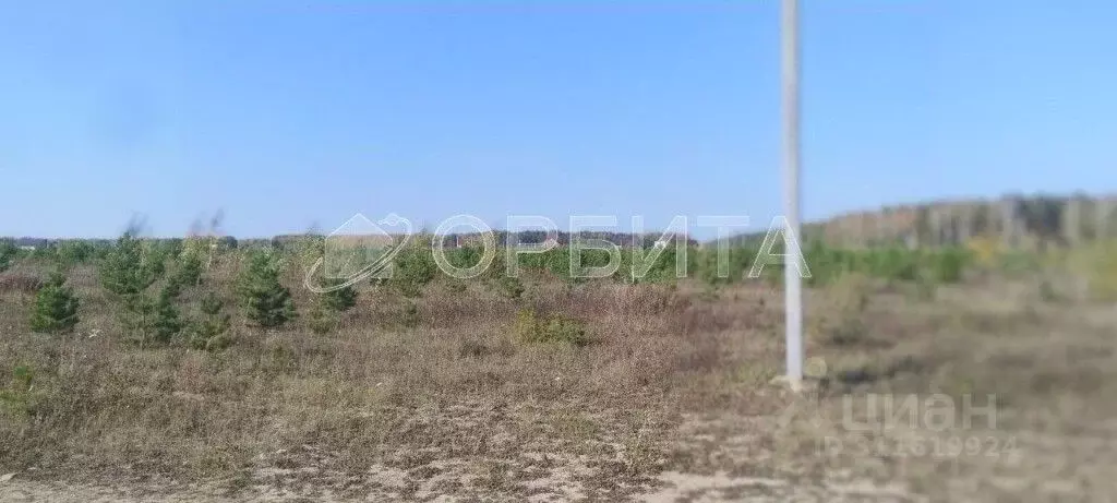 Участок в Тюменская область, Тюменский район, д. Речкина  (460.0 сот.) - Фото 1